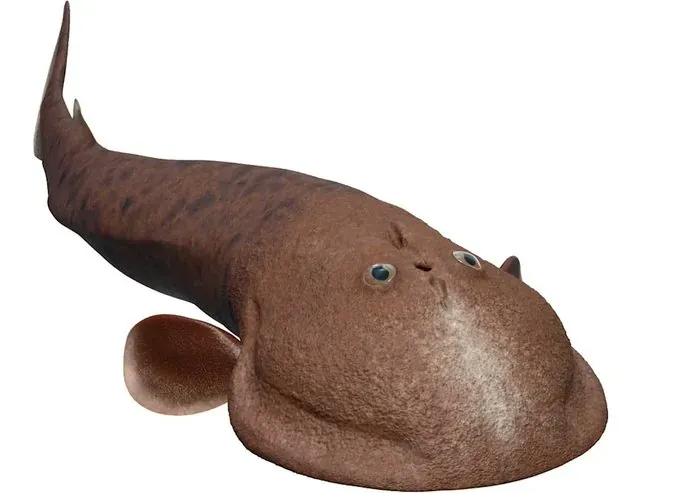 Googly-Eyed Fish Dari Greenland Ubah Garis Masa Evolusi.