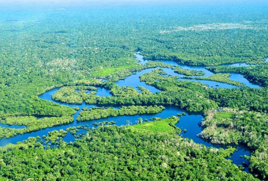 Amazon: Hutan Hujan yang Menyokong Iklim Bumi, Adakah Kita Sedar?