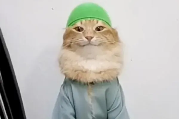 Tob Tob Tobi Tob Ni Syair Rupanya?