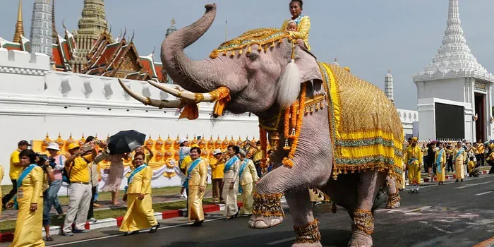 “KENAPA GAJAH SINONIM DENGAN THAILAND?”