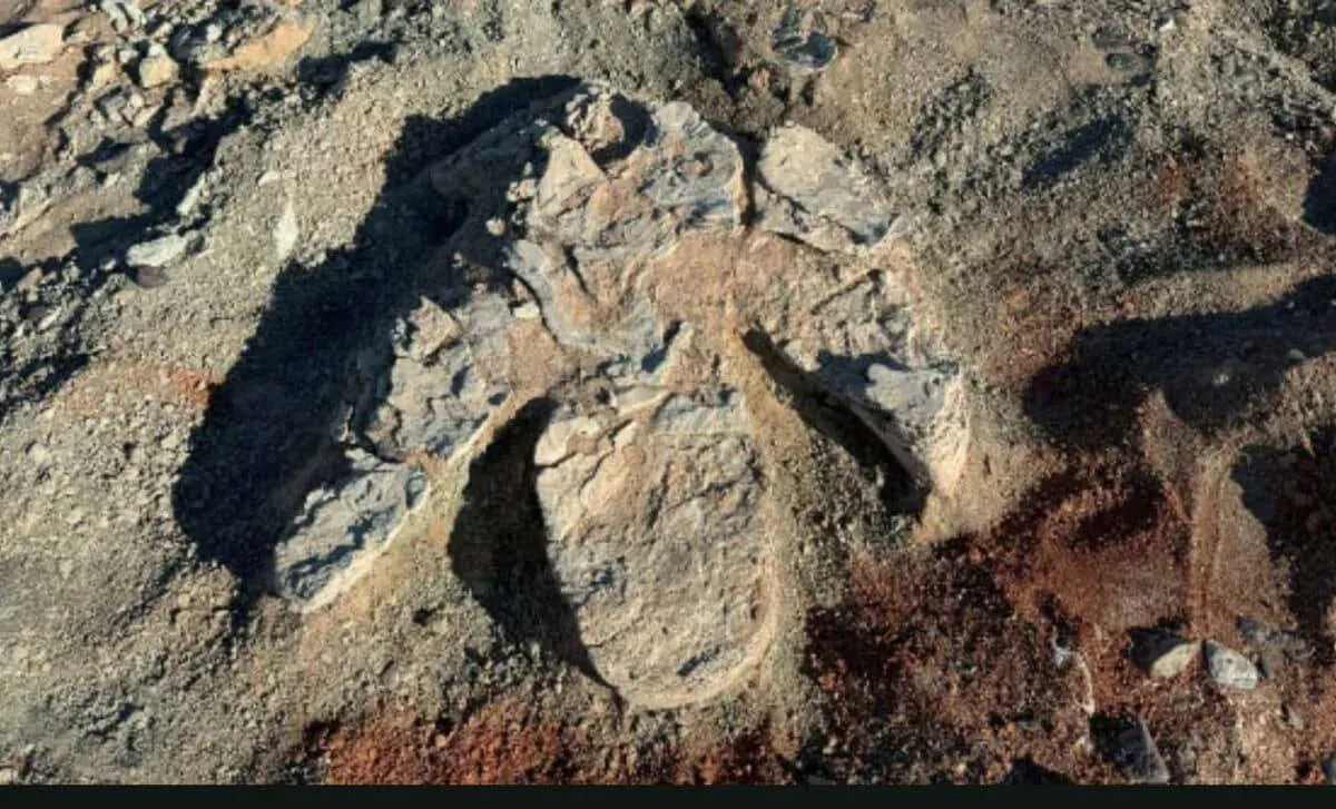 Jejak Kaki Dinosaur Gergasi Berusia 70 Juta Tahun Ditemui di Gurun Gobi: Panjang Lebih 1 Meter!