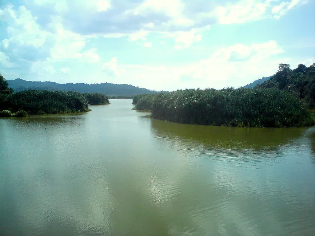 Benarkah Naga Wujud Di Tasik Chini?