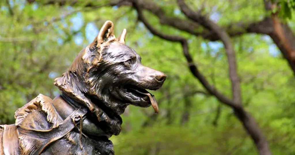 7 Ekor Anjing Yang Terkenal Dalam Sejarah