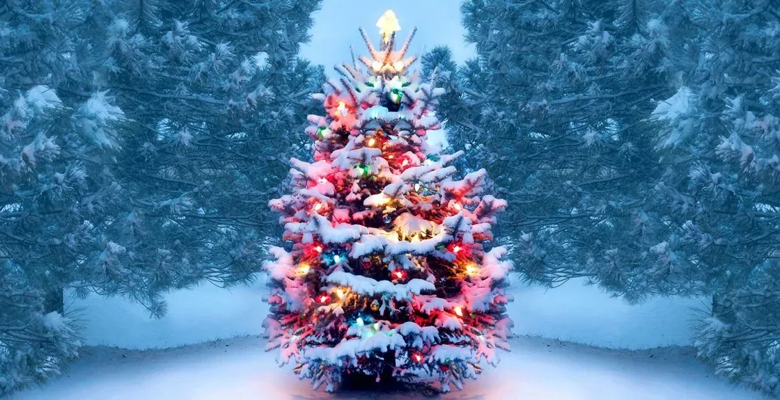 Asal Usul Tamadun Parsi Disebalik Perhiasan Pokok Krismas