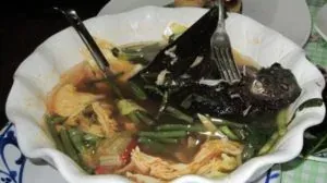 Laknat Ular dan Kelawar Terhadap China