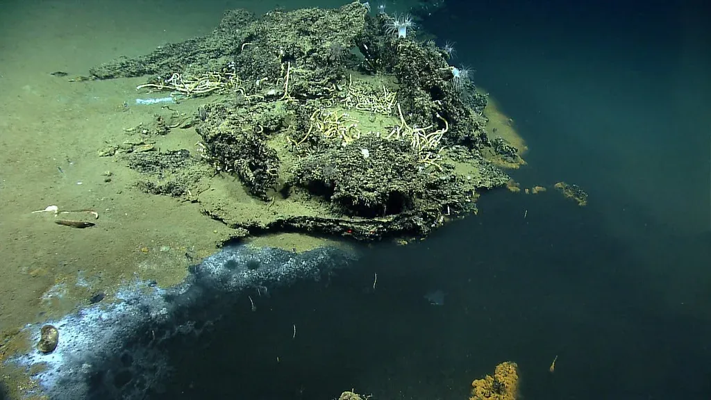 Betul Ke Laut Bawah Laut Dalam Cerita Spongebob Tu Wujud?