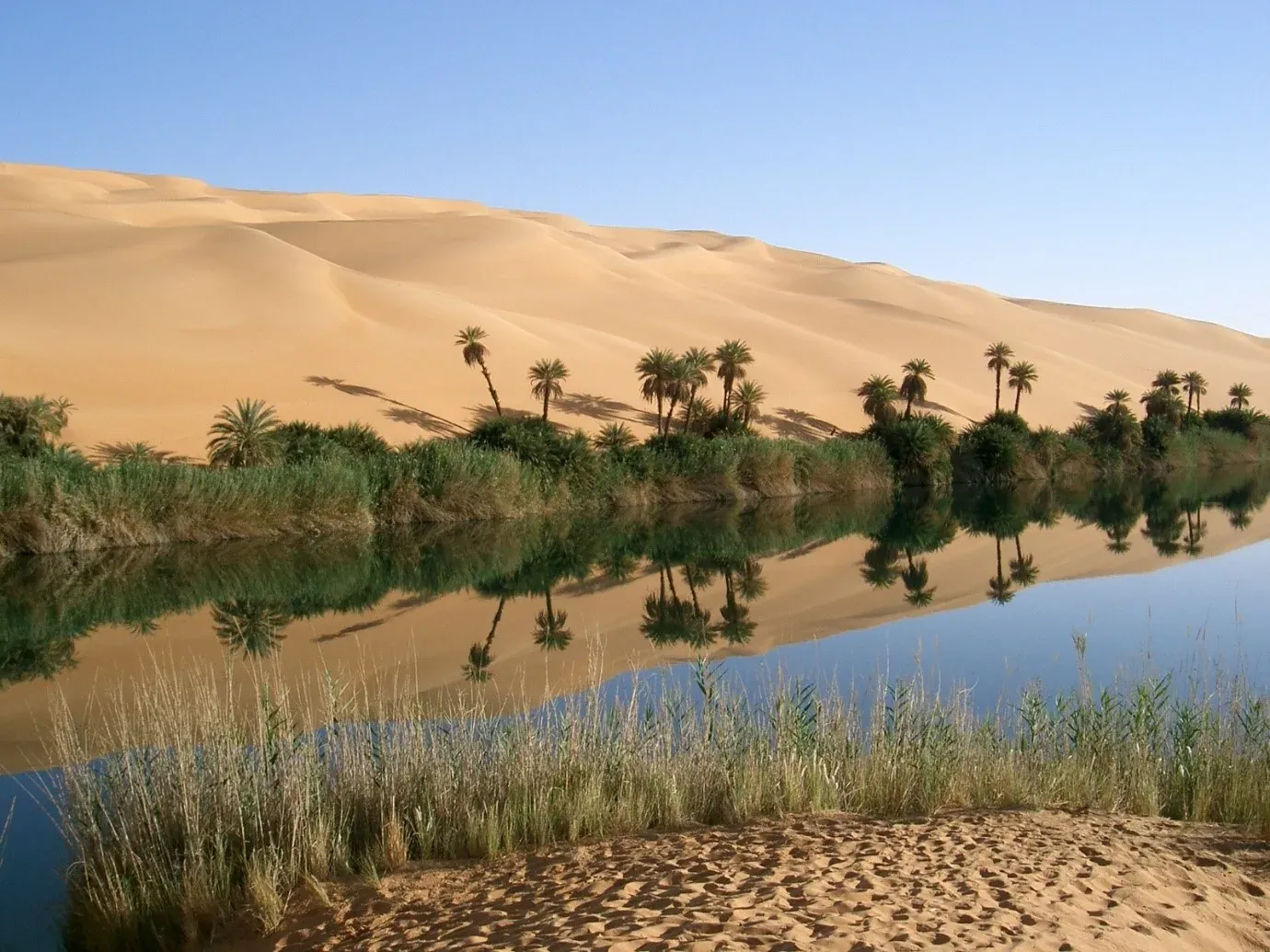 Bagaimana Oasis Mempunyai Air?