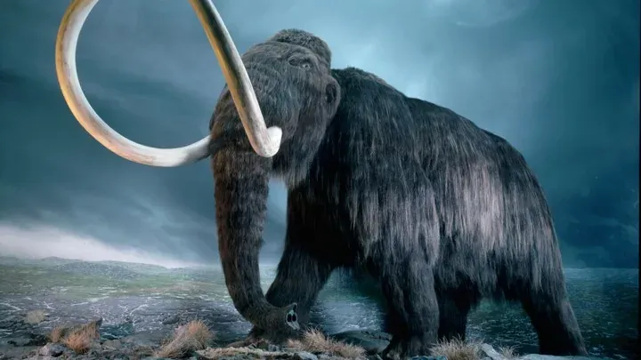10 Fakta Menarik Mengenai Mamot Si Gajah Purba