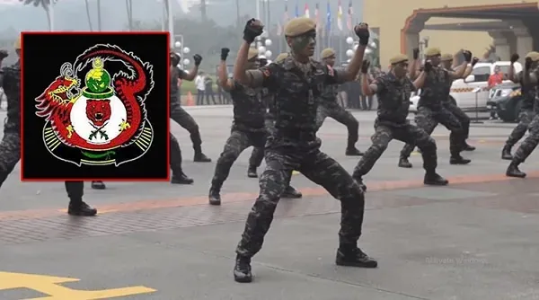 Silat Seni Gayong Dalam Tempur Tanpa Senjata ATM Dan Polis