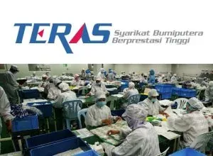 Dana Pembangunan Perniagaan Bumiputera
