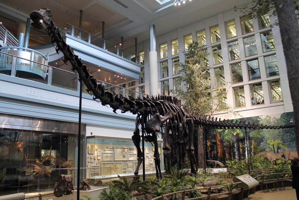Saintis Temui Dinosaur Istimewa Di Uzbekistan