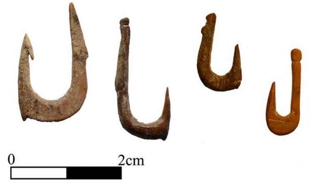 Fishing Tackle Used to Catch Monster Carp 12,000 Years Ago, Says