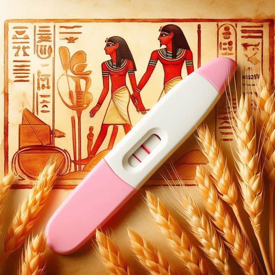 Waktu Mesir Purba Dah Ada Pregnancy Test?