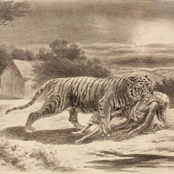 Harimau Jadian, Lagenda Atau Mitos?