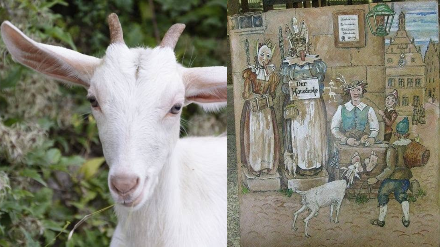 Lidah Kambing Seksaan Rom Paling Menggerunkan?