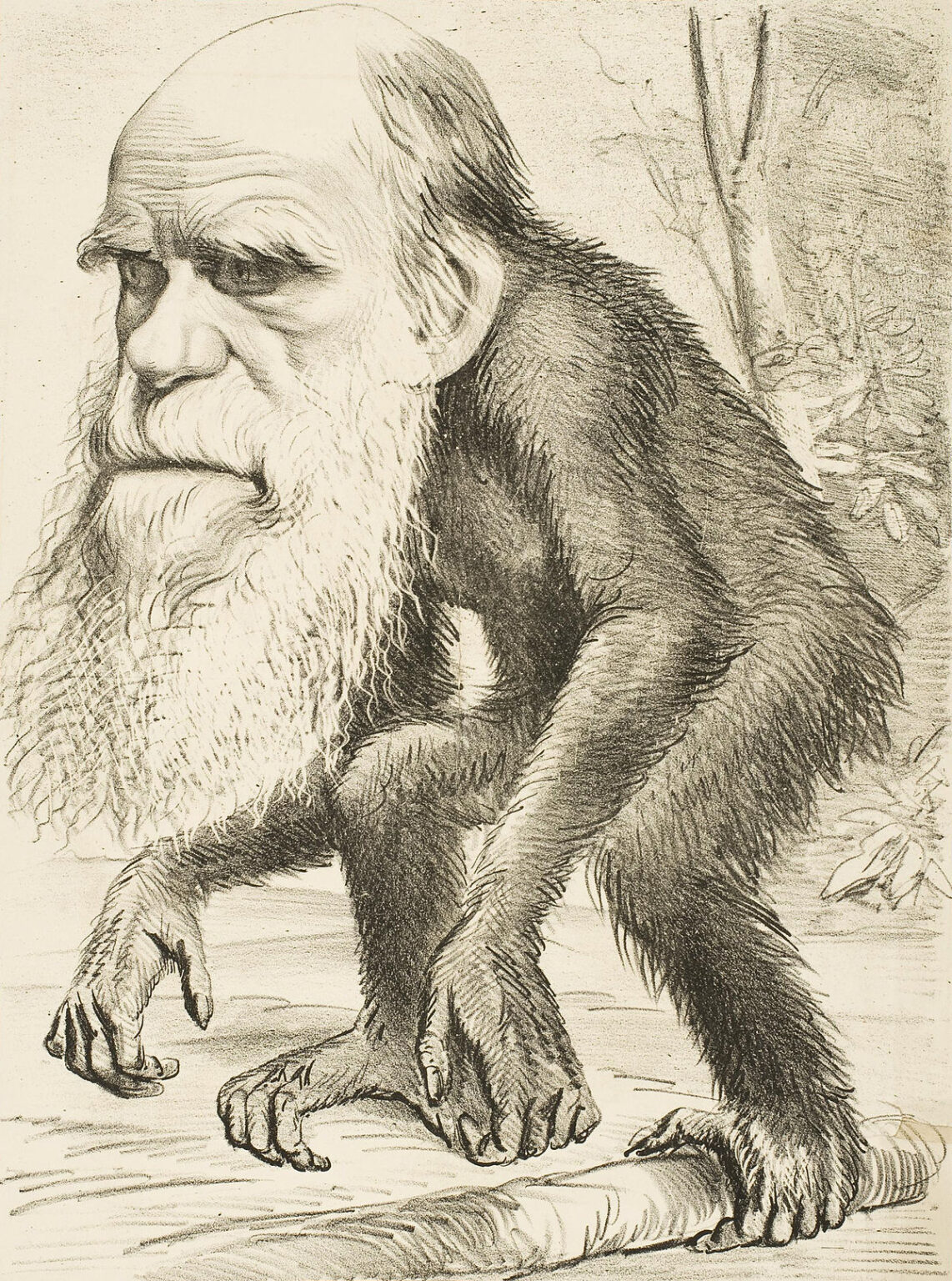 Charles Darwin Tak Pernah Cakap Manusia Berasal Dari Monyet.